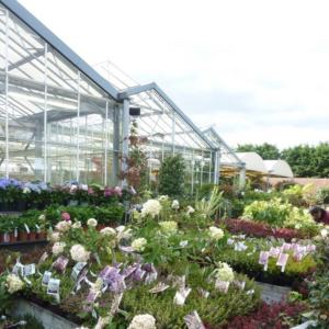 Devanture Jardinerie Gazeran